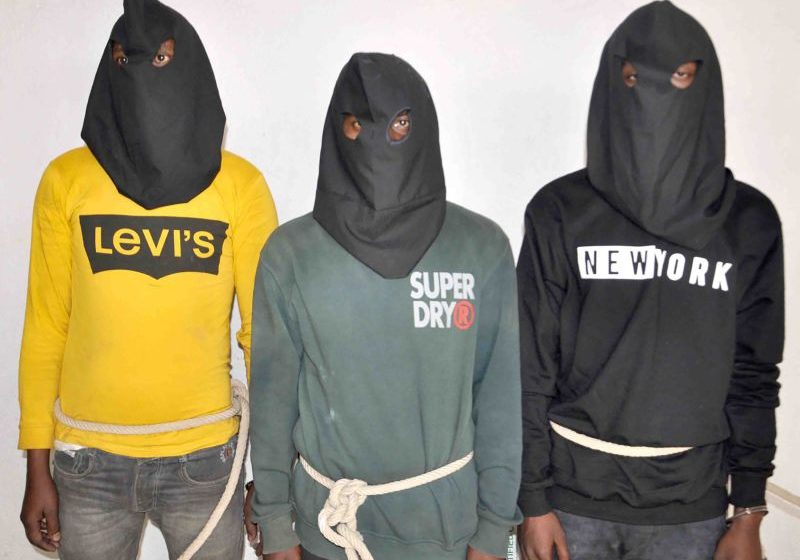 Seven men arrested in India for alleged gang-rape of tourist