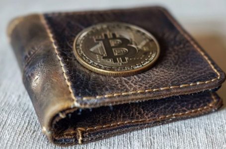 Bitcoin Wallets with $1K Balances Jump 20% Since Start of 2024: Fidelity