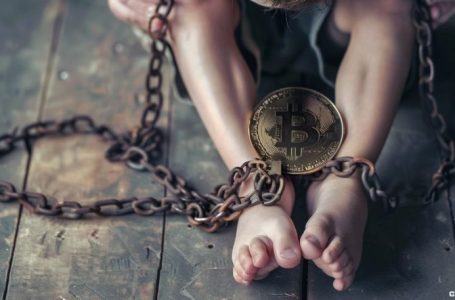 US Senators Warren and Cassidy Push for Action Against Cryptocurrency Use in Child Abuse Trade