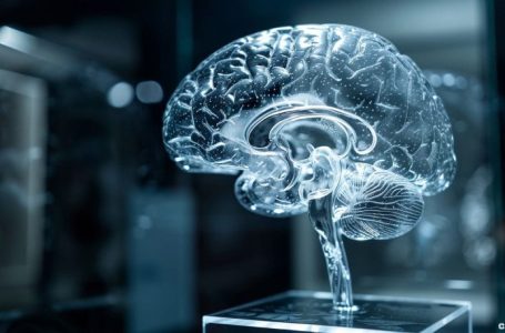 Tether Invests $200 Million in Blackrock Neurotech’s Neurological Disorder Solutions