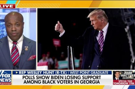 Black Republican calls out Biden’s ‘real record on race’ in six-figure ad buy to air during CNN debate